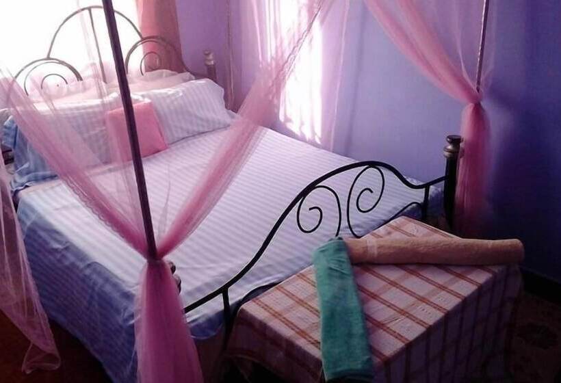 اتاق لوکس, View Mountain House   Backpackers