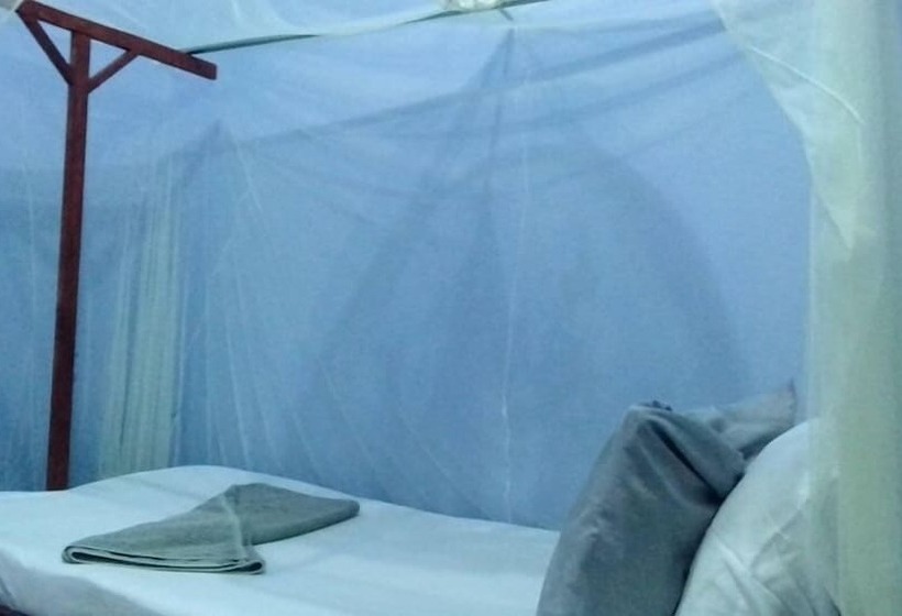 اتاق استاندارد, View Mountain House   Backpackers