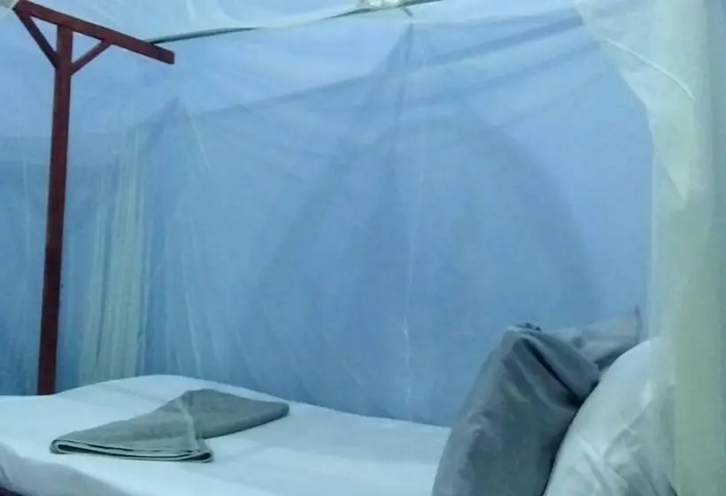 اتاق استاندارد, View Mountain House   Backpackers