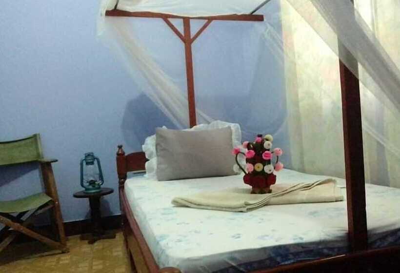 اتاق استاندارد یک نفره, View Mountain House   Backpackers