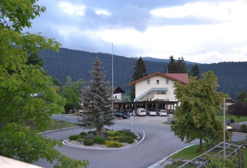 标准间, Gasthof Zum Grünen Baum