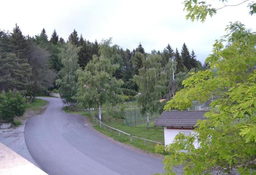 Номер Стандарт, Gasthof Zum Grünen Baum