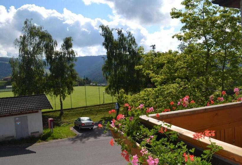 标准间, Gasthof Zum Grünen Baum