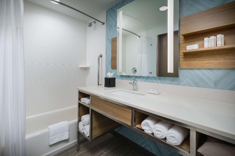 身障者適用キングサイズベッドルーム, Hilton Garden Inn Apopka City Center