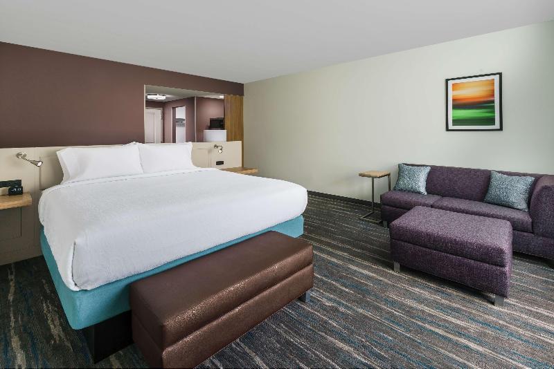 Quarto Estandar Cama King para Deficientes Físicos, Hilton Garden Inn Apopka City Center