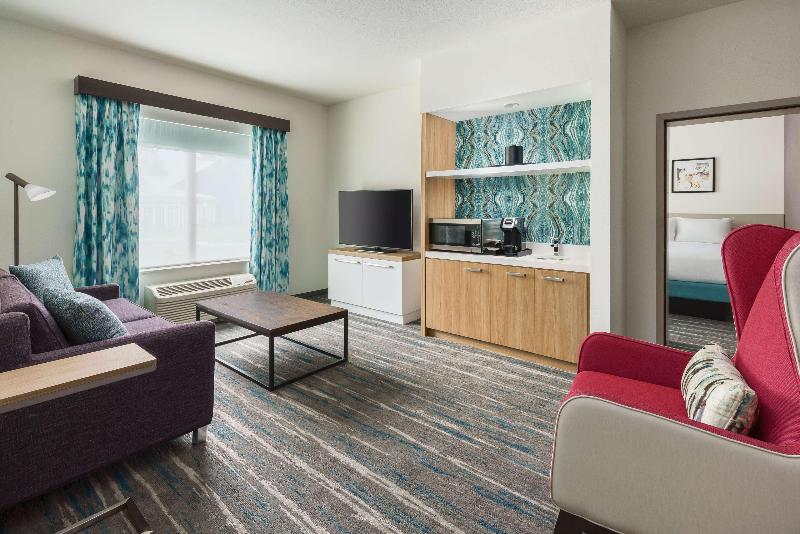 キングサイズベッドのスイートルーム, Hilton Garden Inn Apopka City Center