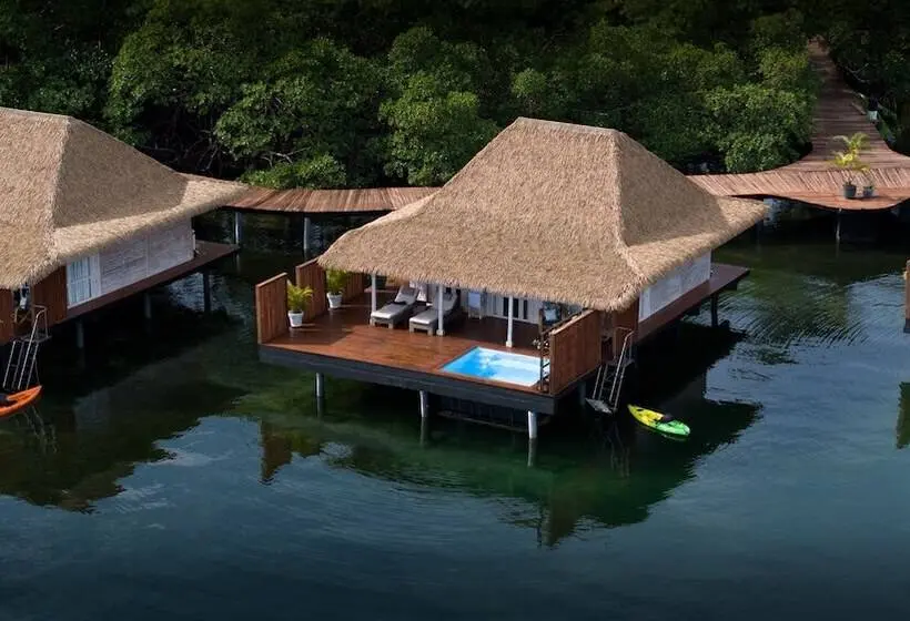 ویلای یک اتاق خوابه با استخر شنا, Nayara Bocas Del Toro