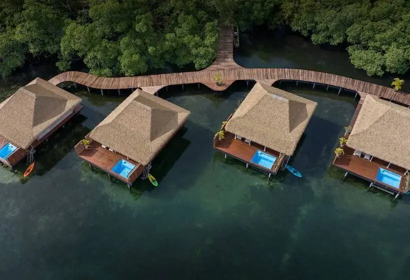 ویلای یک اتاق خوابه با استخر شنا, Nayara Bocas Del Toro