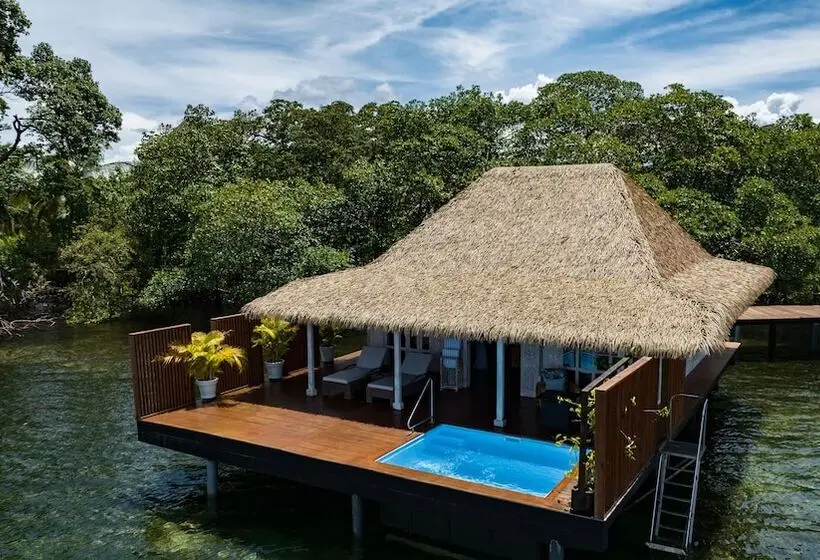 ویلای یک اتاق خوابه با استخر شنا, Nayara Bocas Del Toro
