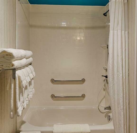 غرفة قياسية سرير كينج لذوى الإحتياجات الخاصة, Park Inn By Radisson Florence, Sc