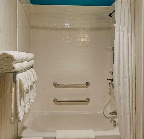 身障者適用キングサイズベッドルーム, Park Inn By Radisson Florence, Sc
