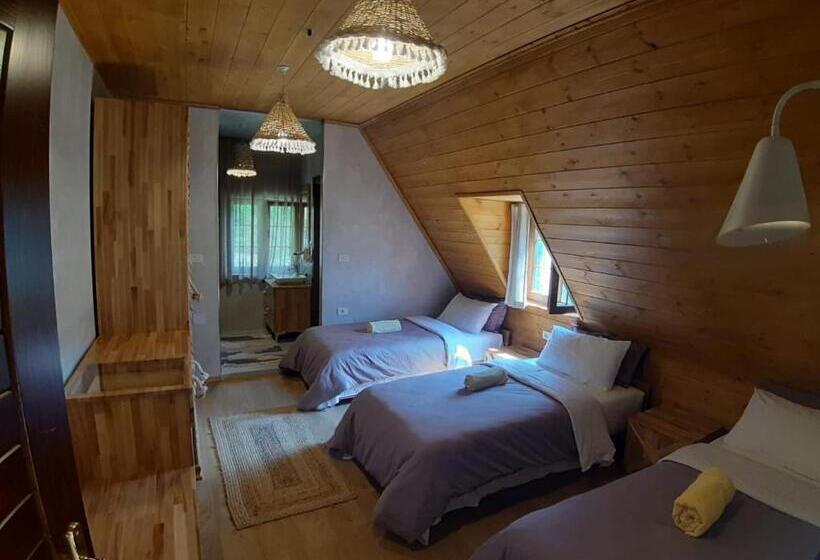 컴포트 트리플 룸, Restaurant Alpet Theth