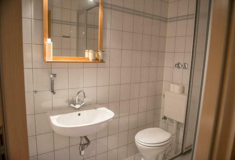 غرفة قياسية فردية, Landgasthof Marlishausen