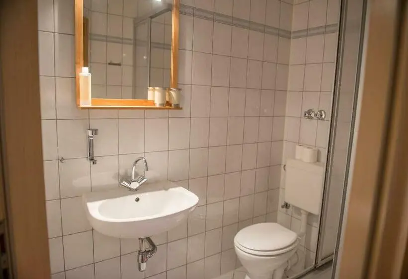 Standard Yhden Hengen Huone, Landgasthof Marlishausen