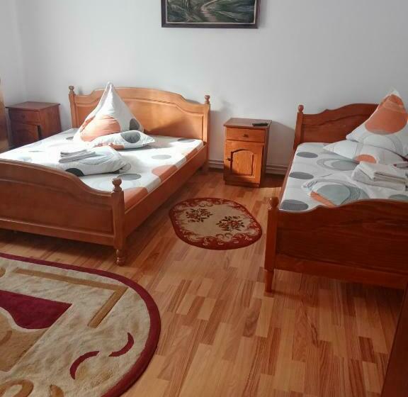 Номер Стандарт, Casa Nicoleta