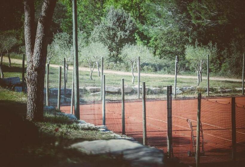 Номер Стандарт, Domaine Sainte Colombe