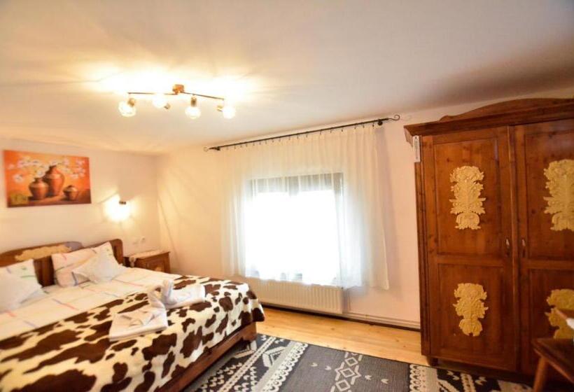 标准间, Gyongyver Panzio