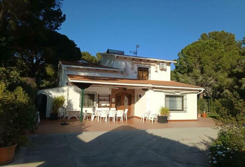 Номер Стандарт, Boutique Algarrobo