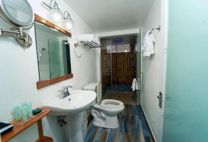 اتاق استاندارد با چشمانداز دریا, Blue Skies Beach Resort