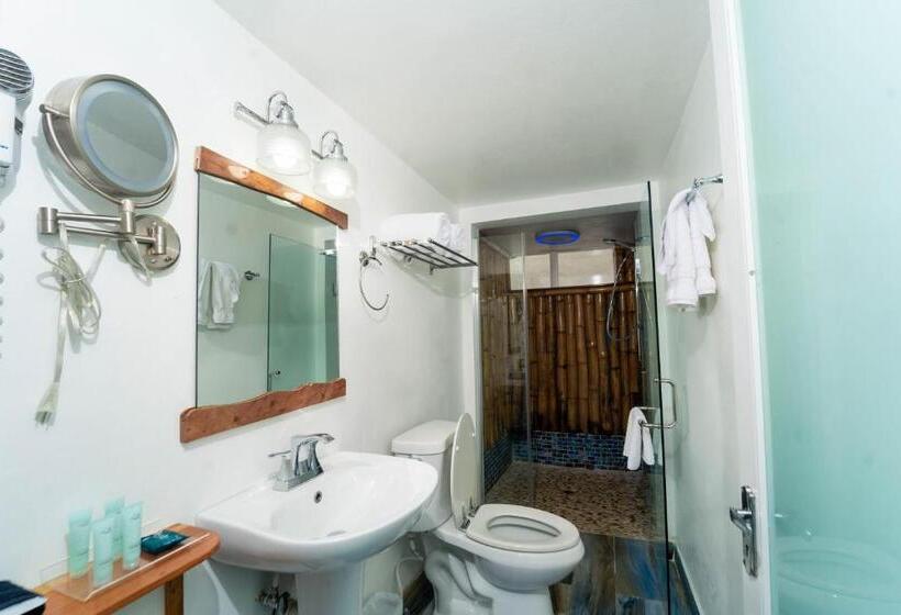 اتاق استاندارد با چشم‌انداز دریا, Blue Skies Beach Resort
