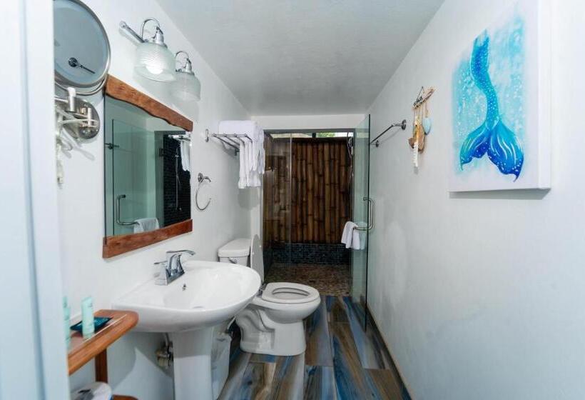 اتاق استاندارد با چشمانداز باغ, Blue Skies Beach Resort