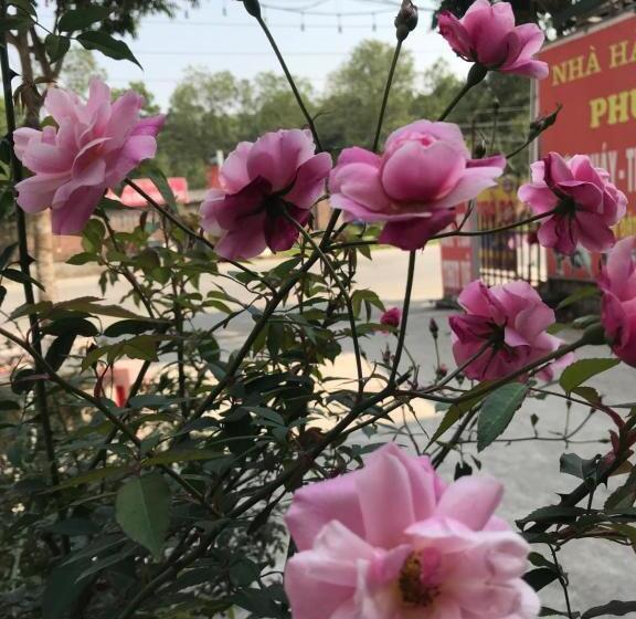 Deluxe Rum, Khách Sạn Hà Phương