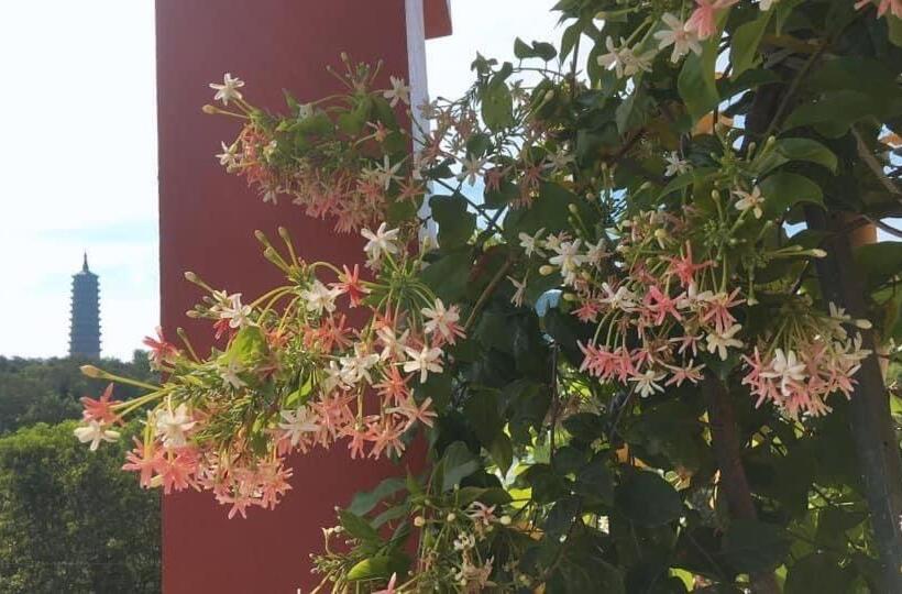 Standardrum Bergsutsikt, Khách Sạn Hà Phương