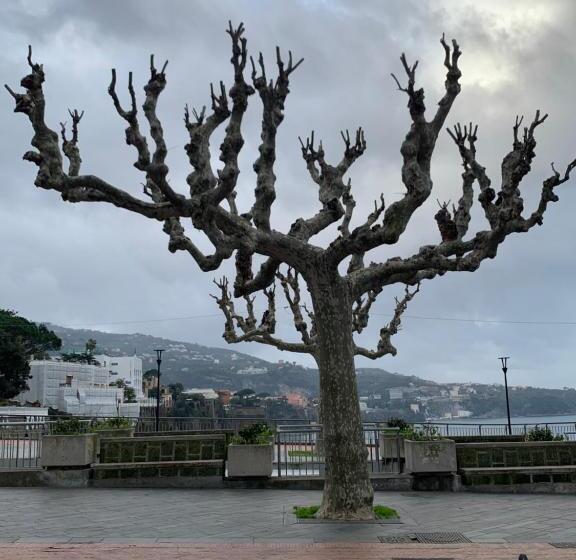 Апартаменты Superior 1 Спальня, La Dimora Di Cornelia