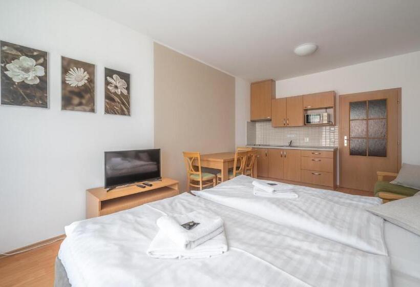 バルコニー付きスタンダードステューディオ, Relax Park Třeboň I