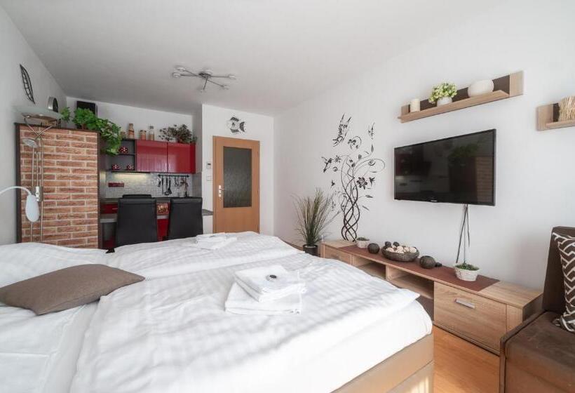 バルコニー付きスタンダードステューディオ, Relax Park Třeboň I