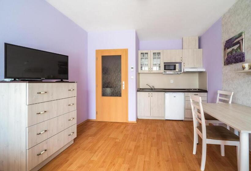 バルコニー付きスタンダードステューディオ, Relax Park Třeboň I