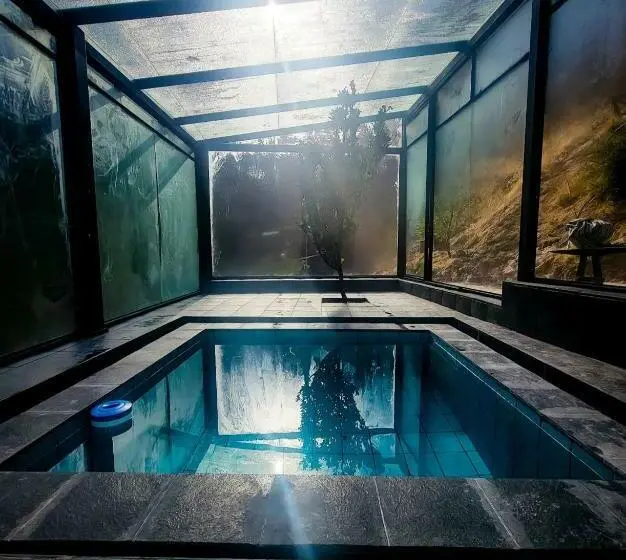 ルームシェアのワンベッド, Wolf Totem Steam Punk Guesthouse
