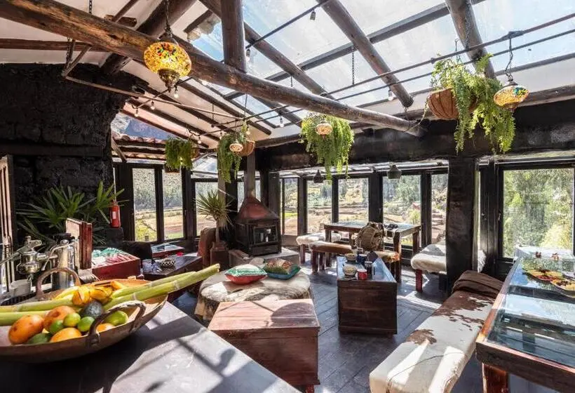 デラックスルーム, Wolf Totem Steam Punk Guesthouse