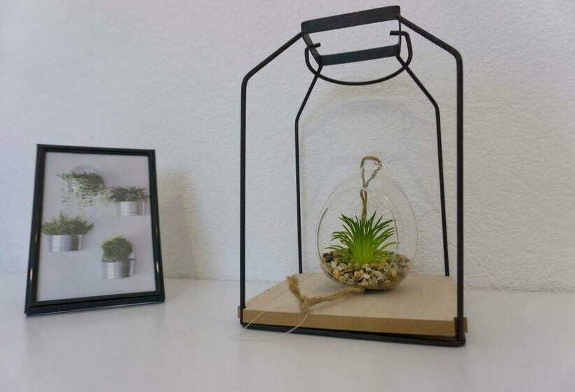 اتاق استاندارد, Apartmani Ogi 1