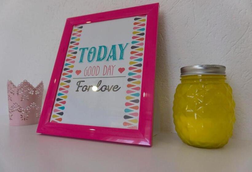 استودیوی استاندارد, Apartmani Ogi 1