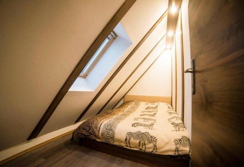 اتاق خانوادگی, Drugarska Prica Lana