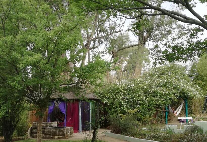 جناح, Gypsy Guest House Clarens