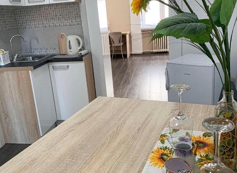 سوئیت با تخت بزرگ, Post Apartmani A 1