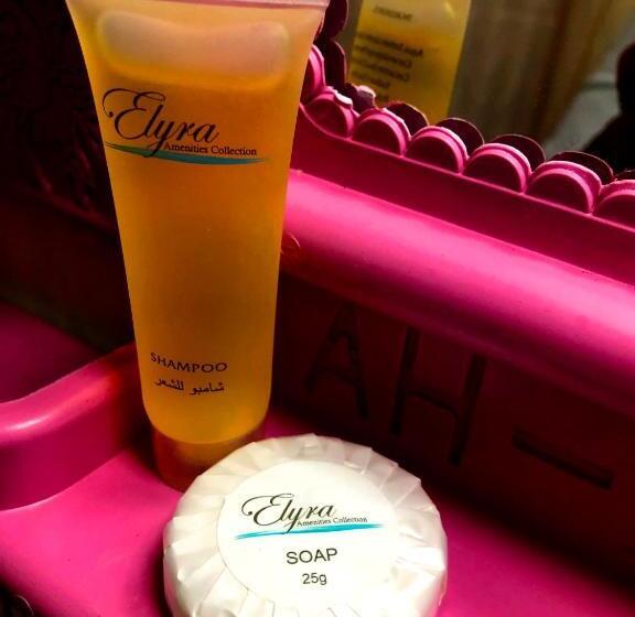 اتاق سوپریور سه تخته, The Orient Home