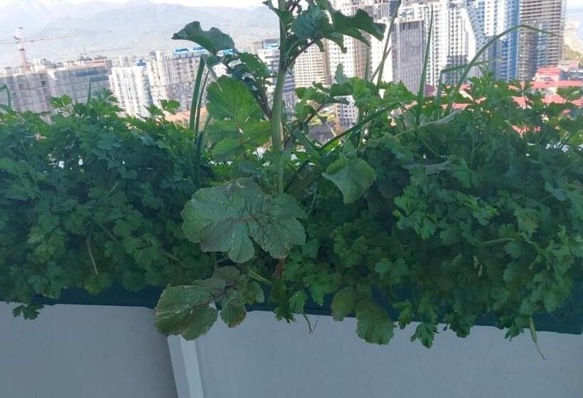 استودیو لوکس با چشم‌انداز دریا, Pure Wellness Sea View Beluga & Dolphin Luxury Hotel Apartments