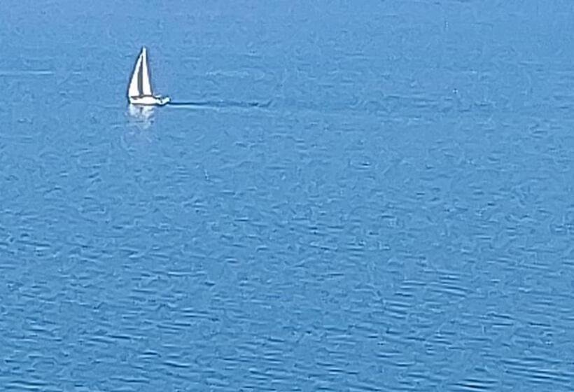 استودیو لوکس با چشم‌انداز دریا, Pure Wellness Sea View Beluga & Dolphin Luxury Hotel Apartments