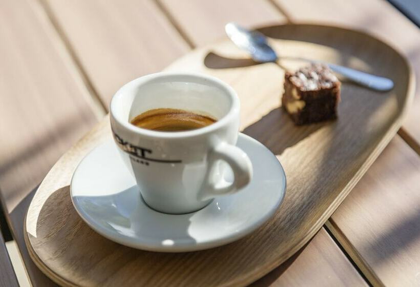 اتاق استاندارد سه نفره, Acta Art