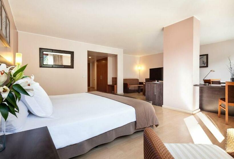 سوییت, Acta Art