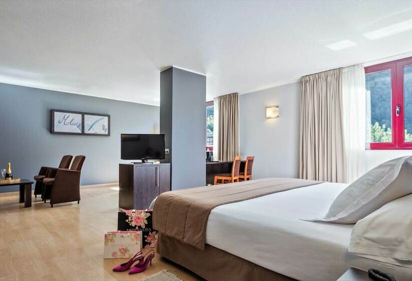 سوییت, Acta Art