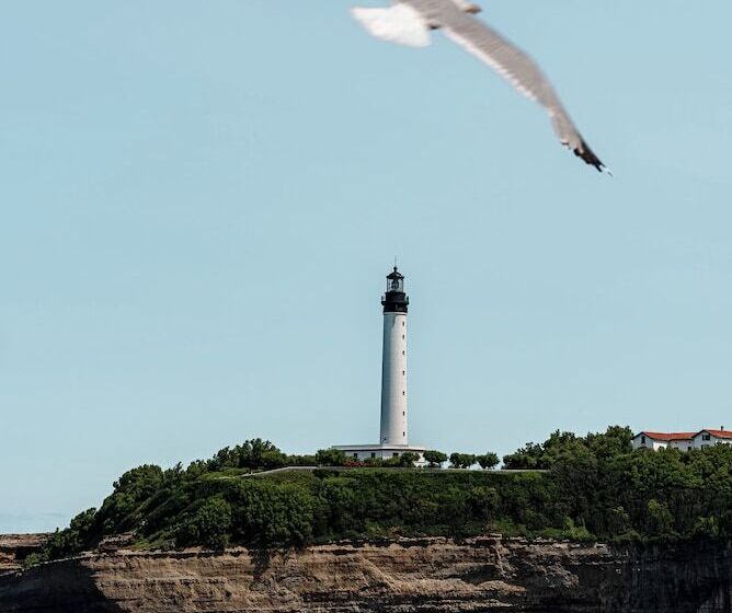 سوییت جونیور با چشمانداز دریا, Regina Experimental Biarritz