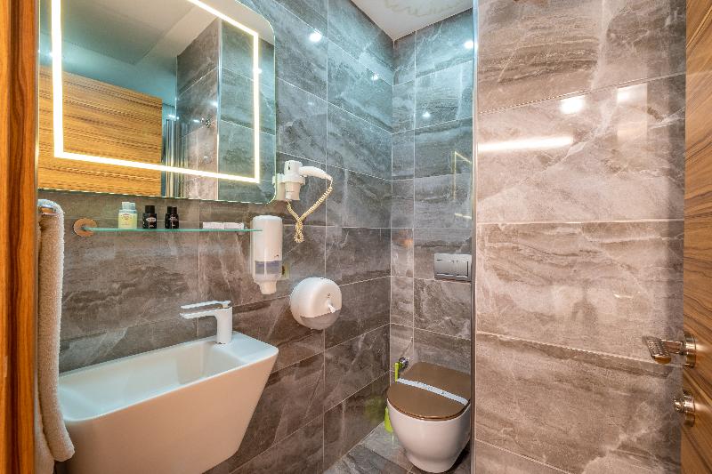 اتاق استاندارد یک نفره, Room Mate Luca