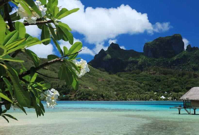 بانگلوی لوکس, Sofitel Bora Bora Private Island