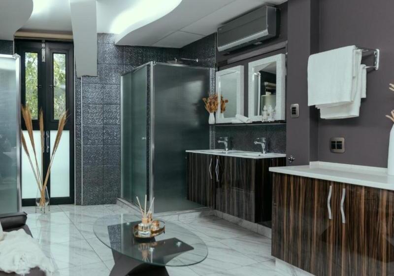 اتاق اجرایی, Novotel Zurich Citywest