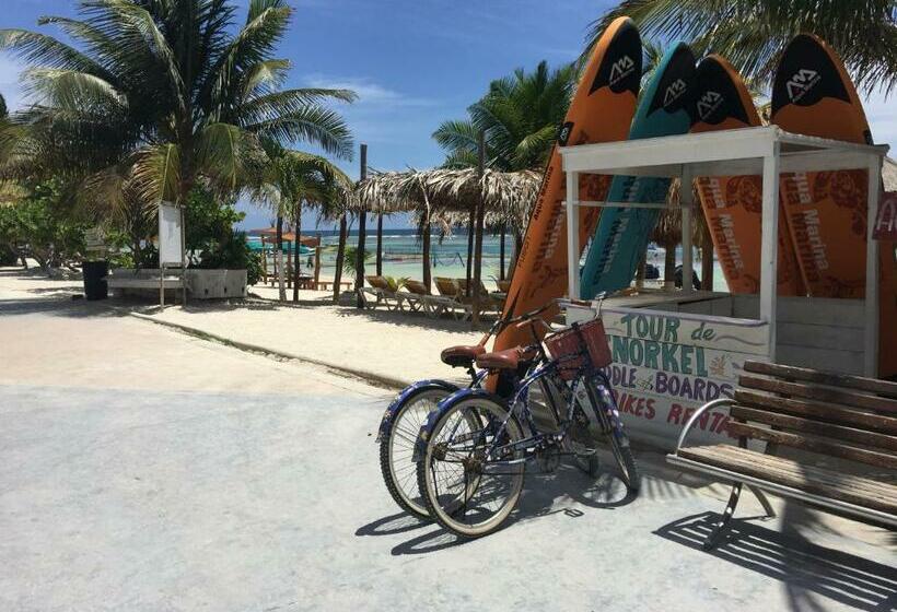 Номер Стандарт, Blue Reef Frente Al Mar