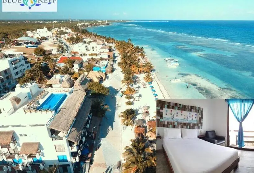オーシャンビューデラックススイート, Blue Reef Frente Al Mar